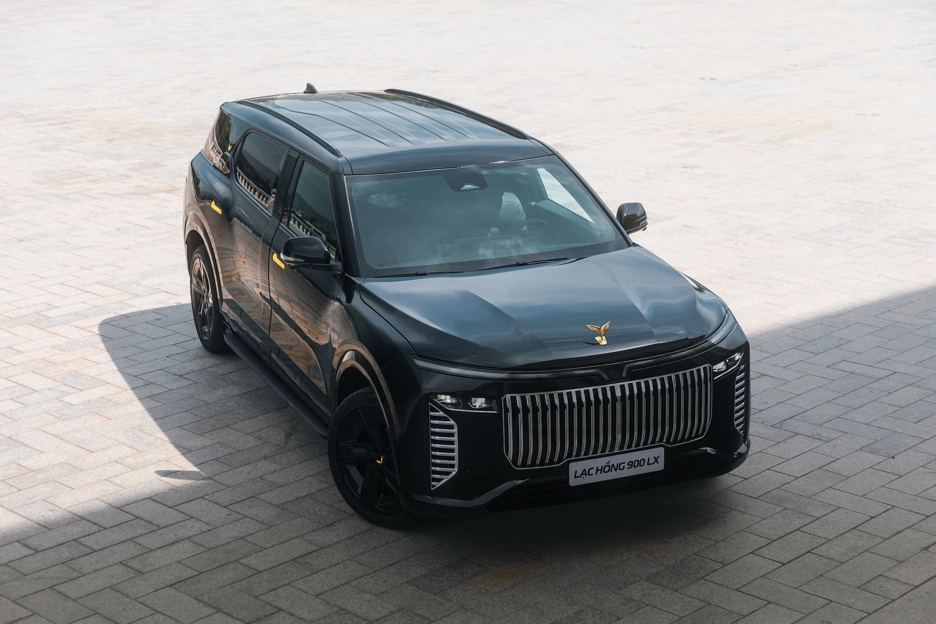 Lac Hong 900 LX 2 Xe EV VinFast giới thiệu Lạc Hồng 900 LX